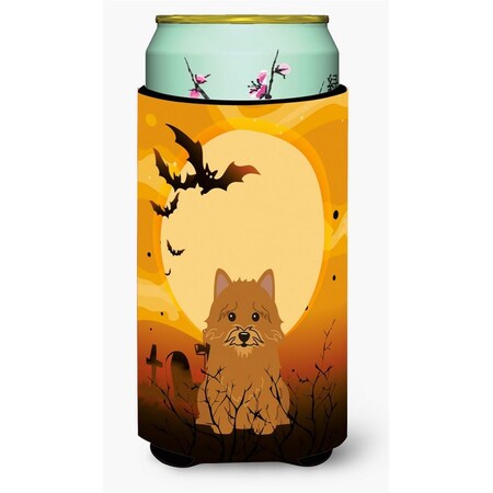 Carolines Treasures Halloween Norwich Terrier Tall Boy Beverage Insulator Hugger BB4286TBC